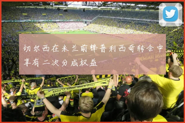 切尔西在米兰前锋普利西奇转会中享有二次分成权益